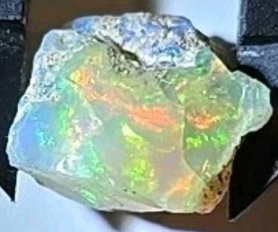 Fire Opal Rough Full Rainbow Fire Green Red Blue Yellow AAA 6.5 Carat Welo Gem