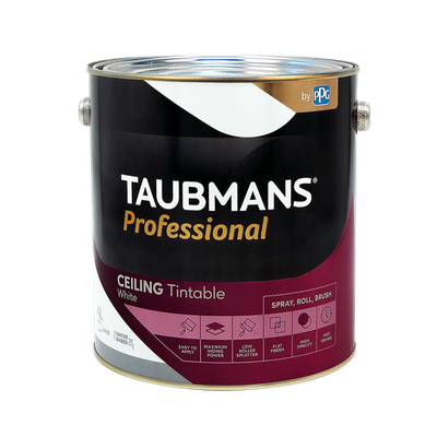 Taubmans 4L White Professional Ceiling Paint Car Interior
