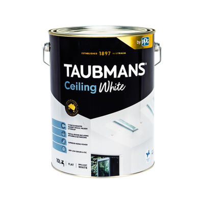 Taubmans 10L Ceiling Brilliant White Car Interior