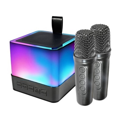 Mirabella Portable Karaoke Speaker with Microphones Car Stereo Install Kit 4WD