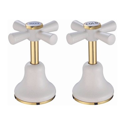 Shaw & Mason Ivory Basin Top Assembly