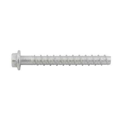 Ramset 10 x 100mm Galvanised AnkaScrew Masonry Anchor 2 pcs