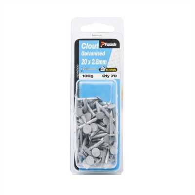 Paslode 20 x 2.8mm 100g Galvanised Clout Nails 2 pcs