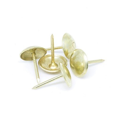 Pinnacle Brass Round Head Upholstery Nails 2 pcs