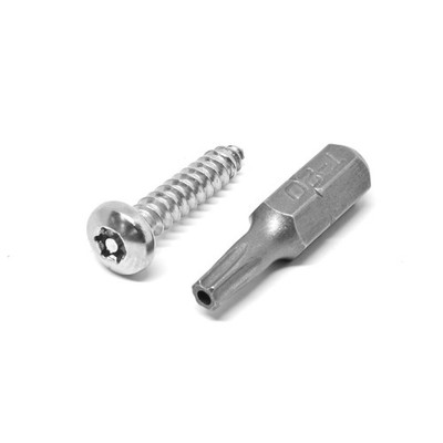 Pinnacle 10g x 20mm Stainless Steel Security Screws 2 pcs