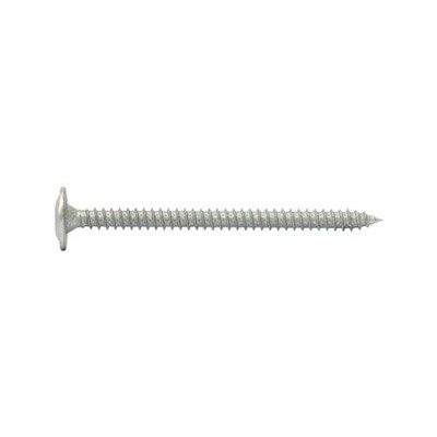 Macsim 7.5 x 100mm Galvanised Anchor Screw 2 pcs