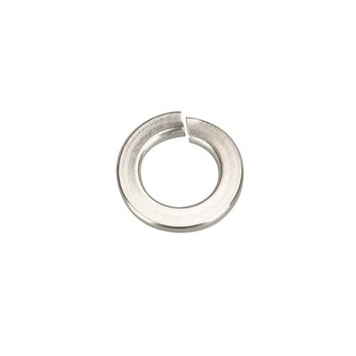 Pinnacle M12 Stainless Steel Spring Washer - 6 pieces