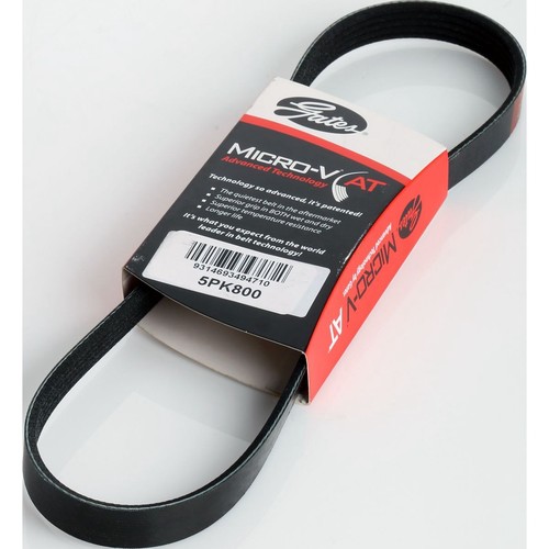 Gates Micro-V Multi Ribbed Drive Belt 5 Rib x 800mm - 5PK800 Auto Part