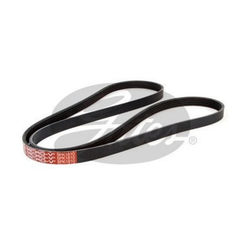 Gates Micro-V Multi Ribbed Drive Belt 5 Rib x 1810mm - 5PK1810 Auto Part