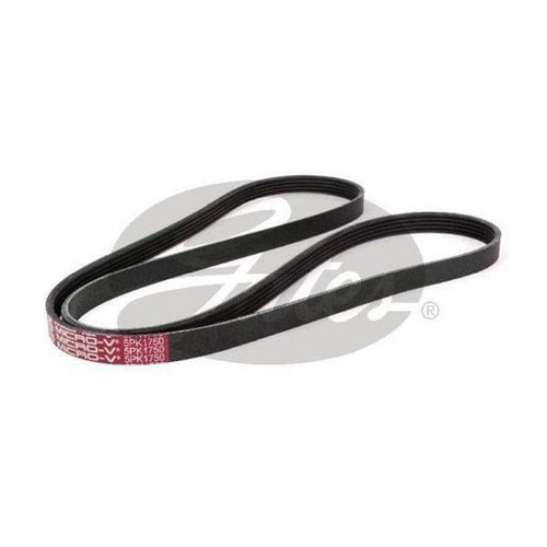 Gates Micro-V Multi Ribbed Drive Belt 5 Rib x 1750mm - 5PK1750 Auto Part