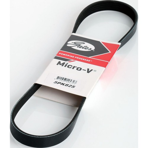 Gates Micro-V Multi Ribbed Drive Belt 5 Rib x 825mm - 5PK825