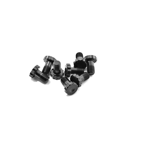 ClutchPro Flywheel Bolt Set - FWBAU03 Hardware