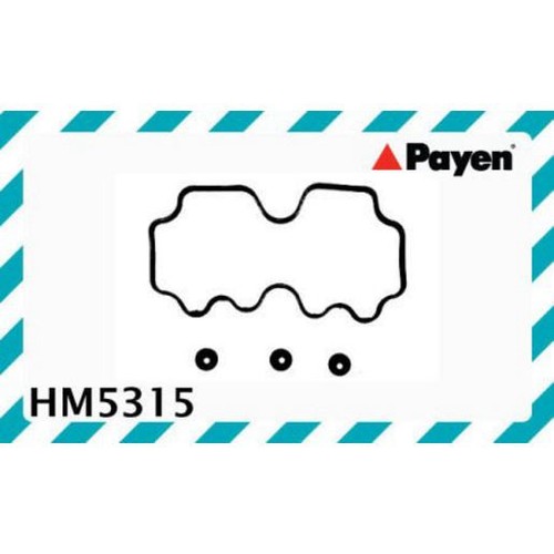 Payen Rocker Cover Gasket - HM5315 Engine Part