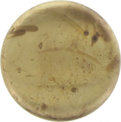 Kelpro Brass Welch Plug 2 1/16In - RBC20116 Auto Part