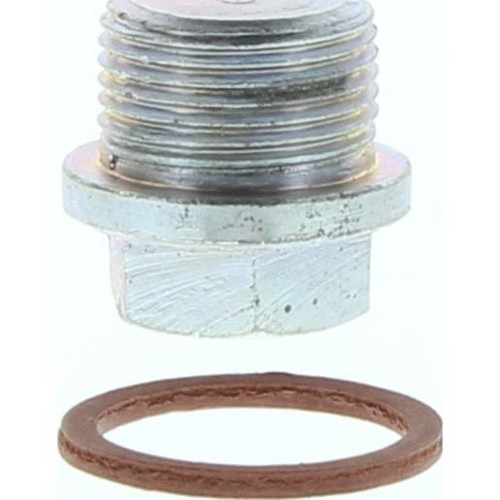 Kelpro Sump Plug 22mm - RSP1016 Auto Part