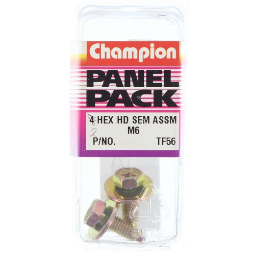 Champion SEMS Hex Set Screws with Combo Drive & Flat Washer Pilot – M6 x 18mm -