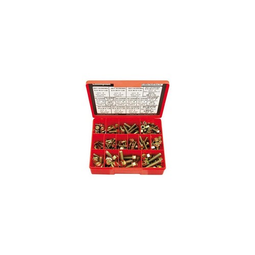 Champion Metric Grade 8.8 Hex Flange Set Screw Assortment - CA200 Hardware