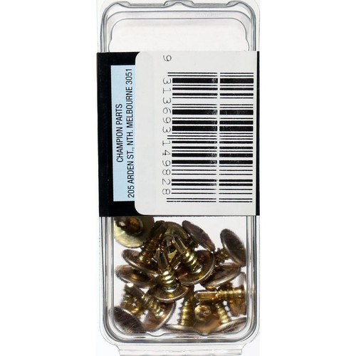 Champion Mushroom Head Self-Drilling Screw – 4.2-18 x 12mm - BH283