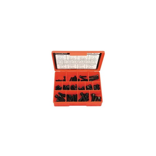 Champion Metric Socket Head Cap Screw Assortment - CA1417 Workshop Tool