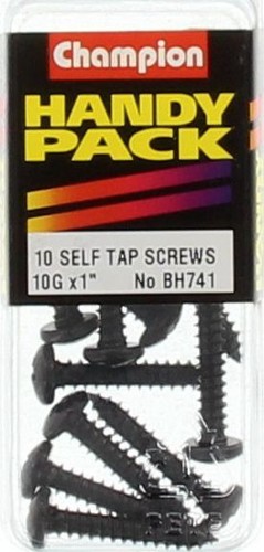 Champion Black Pan Head Phillips Self Tapping Screw – 4.8mm x 25mm - BH741 Auto