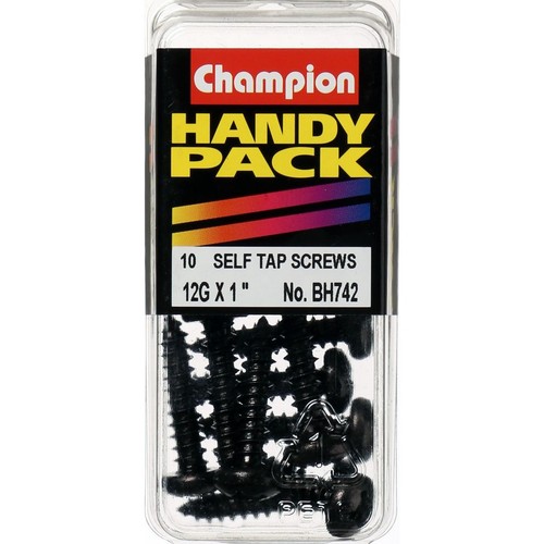 Champion Black Pan Head Phillips Self-Tapping Screws – 5.5 x 25mm - BH742 Auto