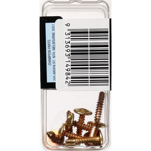 Champion Mushroom Head Self-Drilling Screws – 4.2-18 x 20mm - BH285 Tool