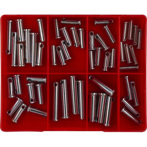 Champion Clevis Pin Assortment – Various Sizes - CA52 Auto