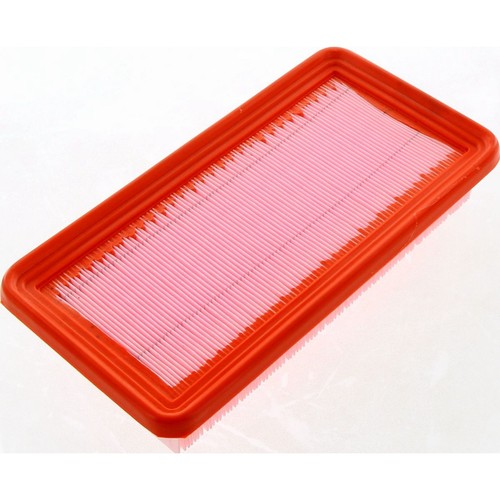 Repco Air Filter - RAF194 Engine Air Filter