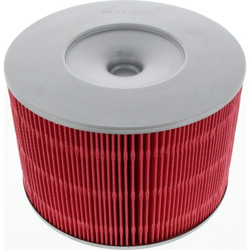 Repco Air Filter - RAF113 Engine Air Filter