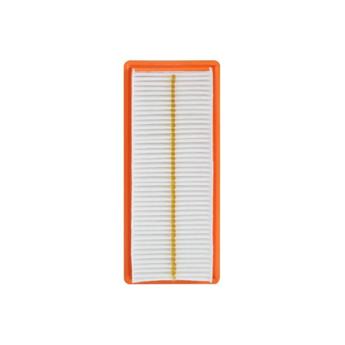 Repco Air Filter - RAF666 Engine Air Filter