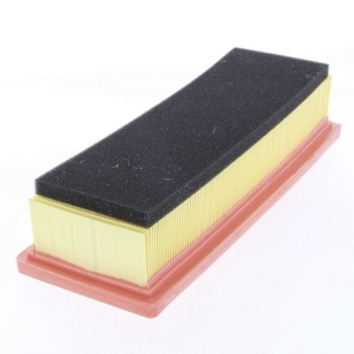 Repco Air Filter - RAF670 Engine Air Filter
