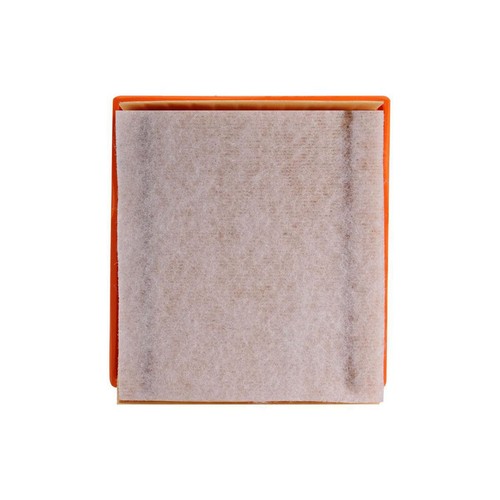 Repco Air Filter - RAF887 Engine Air Filter