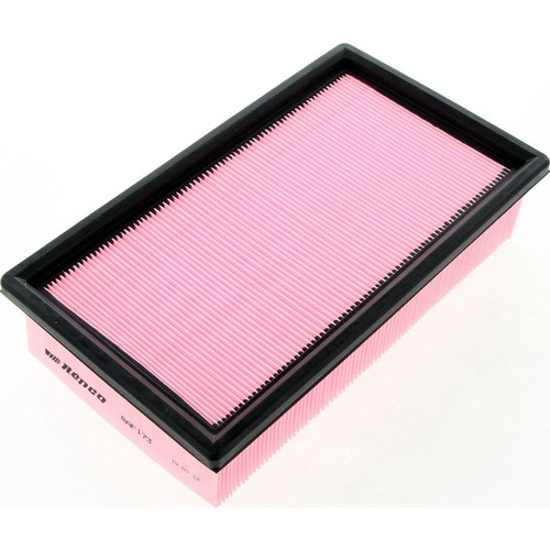 Repco Air Filter - RAF173 Engine Air Filter