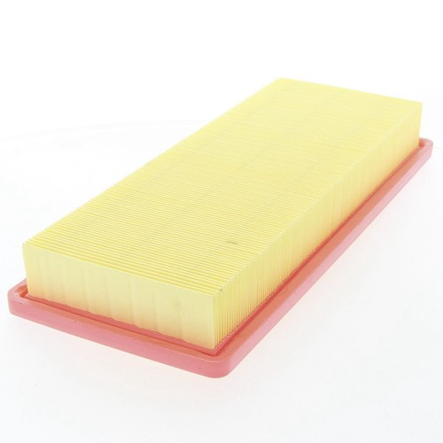 Repco Air Filter - RAF694 Engine Air Filter