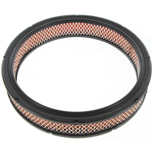 Repco Air Filter - RAF479 Engine Air Filter