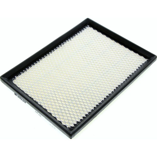 Repco Air Filter - RAF262 Engine Air Filter