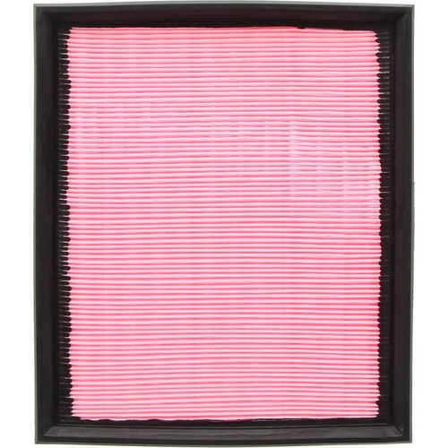 Repco Air Filter - RAF74 Engine Air Filter