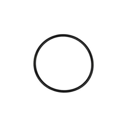 Turbosmart Blow Off Valve Race Port Flange O-Ring - TS-0204-3005