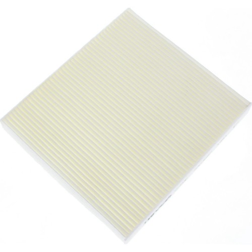 Ryco Cabin Filter - Pollen - RCA113P