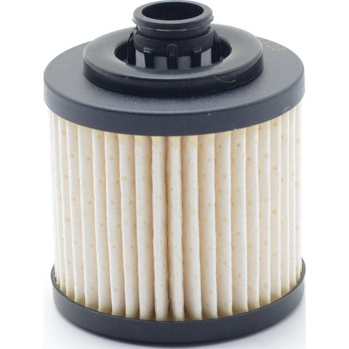 OEX Fuel Filter Cartridge Fuel Filter Service