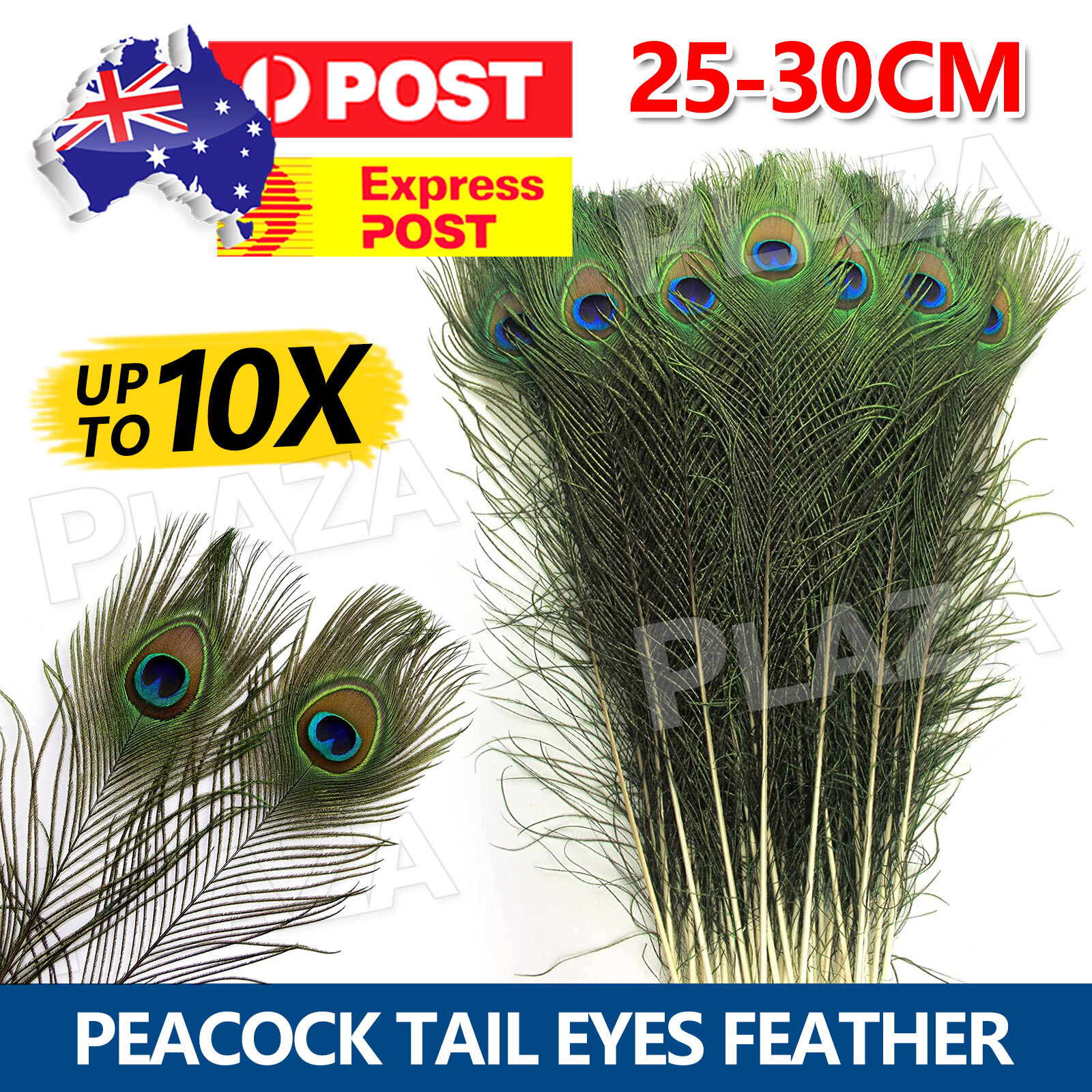 Natural Peacock Tail Eye Feathers 25-30cm 5/10pcs DIY Craft Home Decor Vase