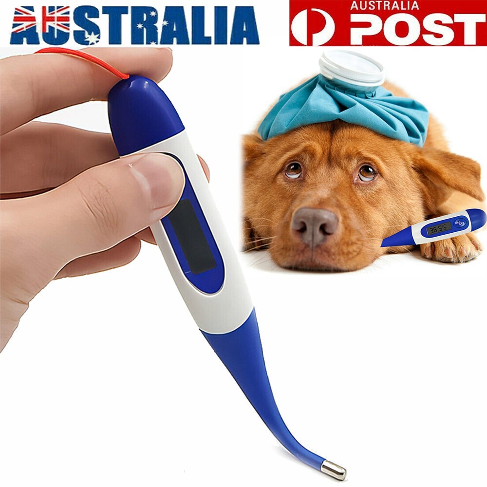 Digital Pet Veterinary Thermometer Dog Cat Pig Waterproof Blue 34-43 Celsius ABS