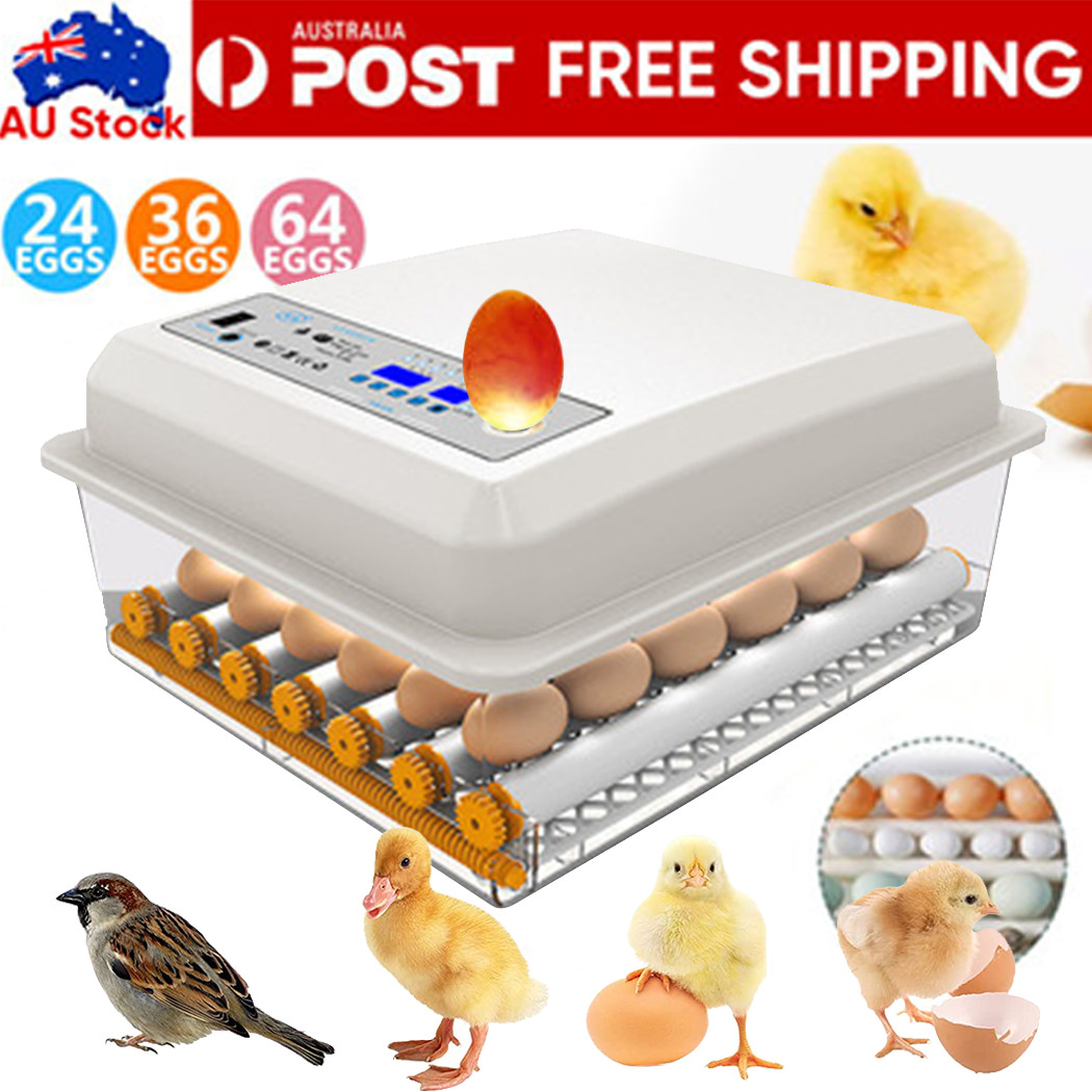 Fully Automatic Digital Egg Incubator 12/24/36/64 Chicken Poultry AU Plug White