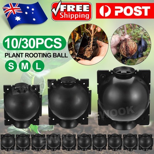 10Pcs Plant Rooting High Pressure Propagation Ball Root Grow Grafting Box AU 5CM