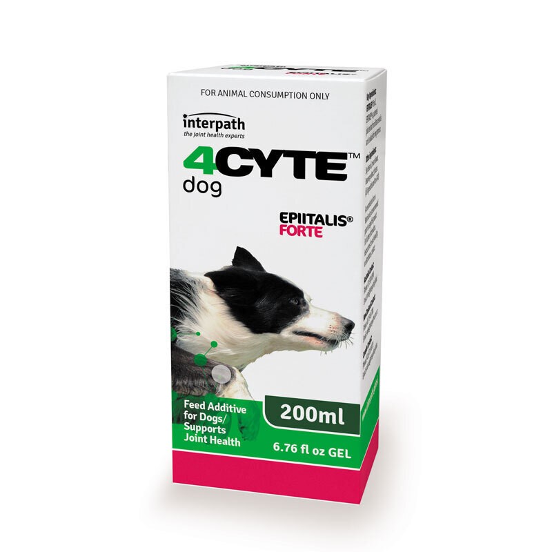 4Cyte Epiitalis Forte Gel Joint Health Support for Dogs 200ml N/A Other Supplies