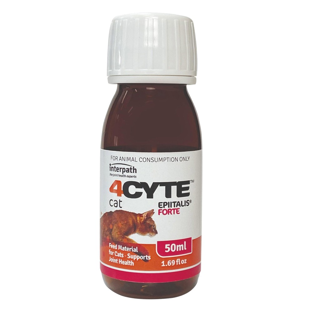 4Cyte Epiitalis Forte Gel Feed Supplement for Cats 50ml N/A Grooming