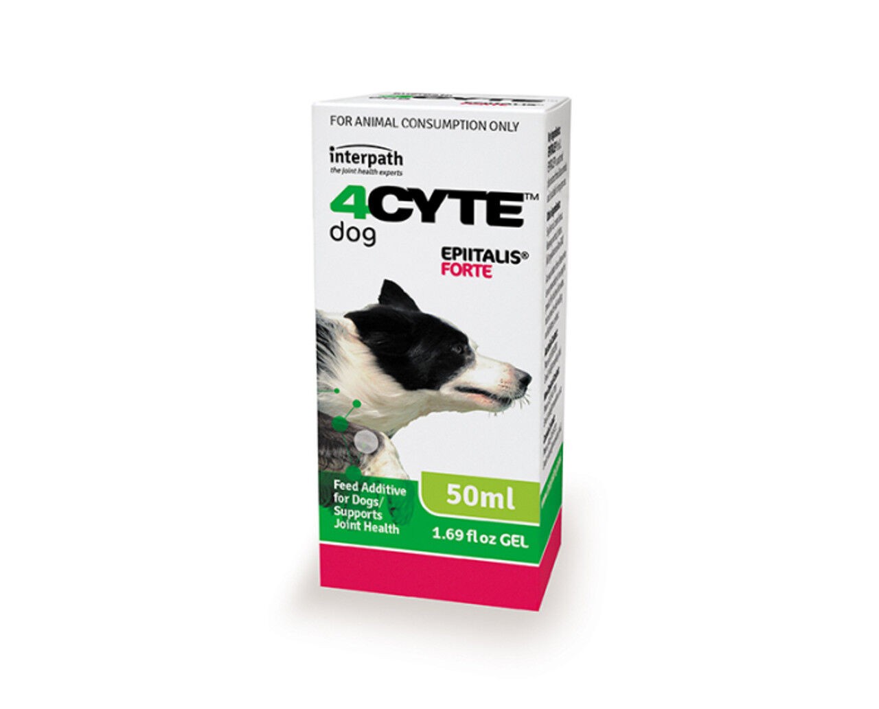 4Cyte Epiitalis Forte Gel Joint Health Support for Dogs 50ml N/A Other Supplies