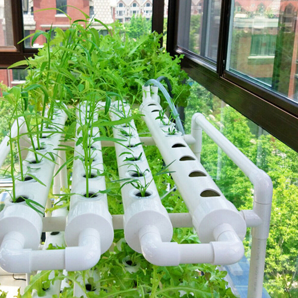 36 Sites Hydroponic Grow Tool Kit Vegetable Garden System Water Pump 220V
