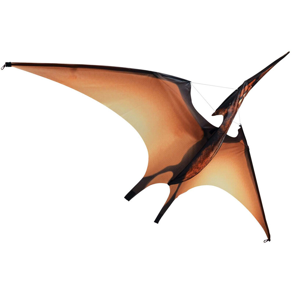 Brookite Pterodactyl Jurassic Kite 140cm Black Outdoor Flying Toy 3y