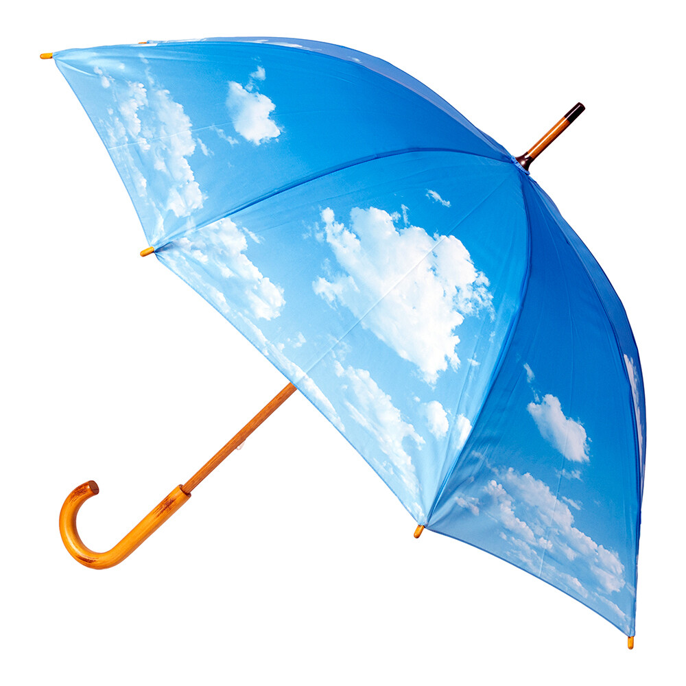 Clifton Women&apos Windproof Umbrella 103cm Wood Handle Pongee Cloud Sun Shade